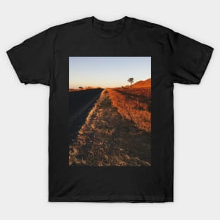 Single Tree in Dry Grassland in Warm Sunset Light T-Shirt